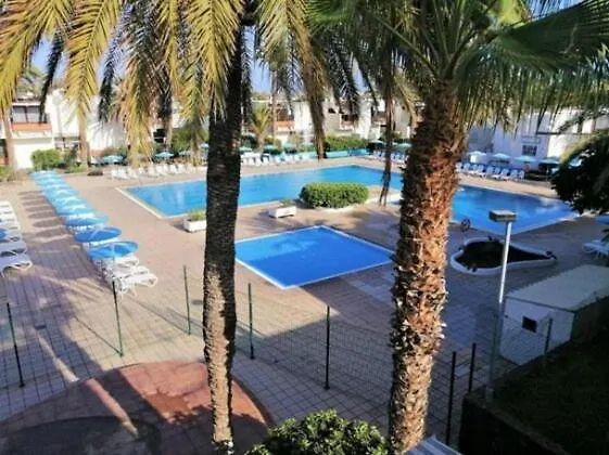 Tenerife Primavera Arona  Ferienhaus Arona (Tenerife)